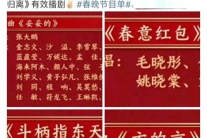 2024央视春晚看点：薛之谦独唱赵英俊金曲 丁禹兮首秀紧张