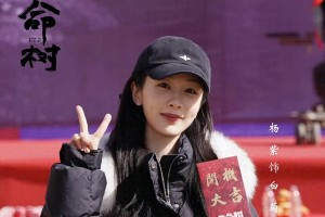 杨紫胡歌《生命树》领衔，5部新剧阵容官宣，哪部能成爆款？