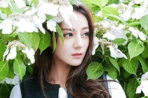迪丽热巴杨幂赵丽颖肖战张艺兴明星眼睛魅力解析