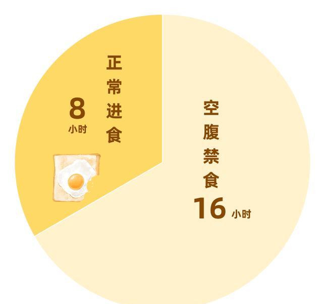 16+8轻断食时间表示意图