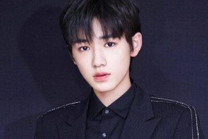 流量明星速成现象：低龄化与专业缺失的隐忧