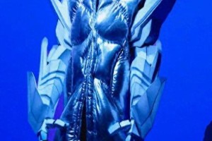 向佐：武打新星的才华与坚韧精神